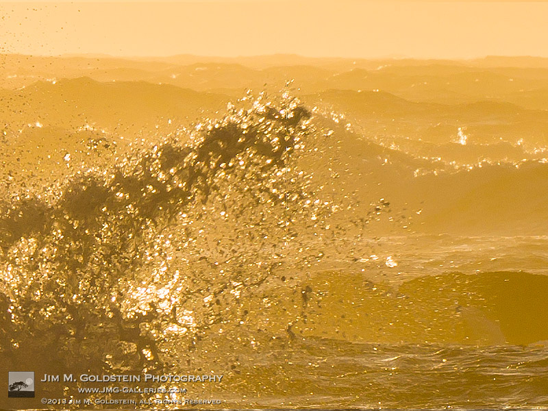 Fury – Asilomar State Beach, California - Hasselblad H5D 1-to-1 crop