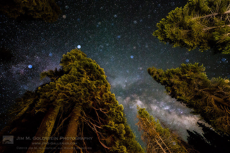 All That Glitters - Milky Way Above Yosemite Forest