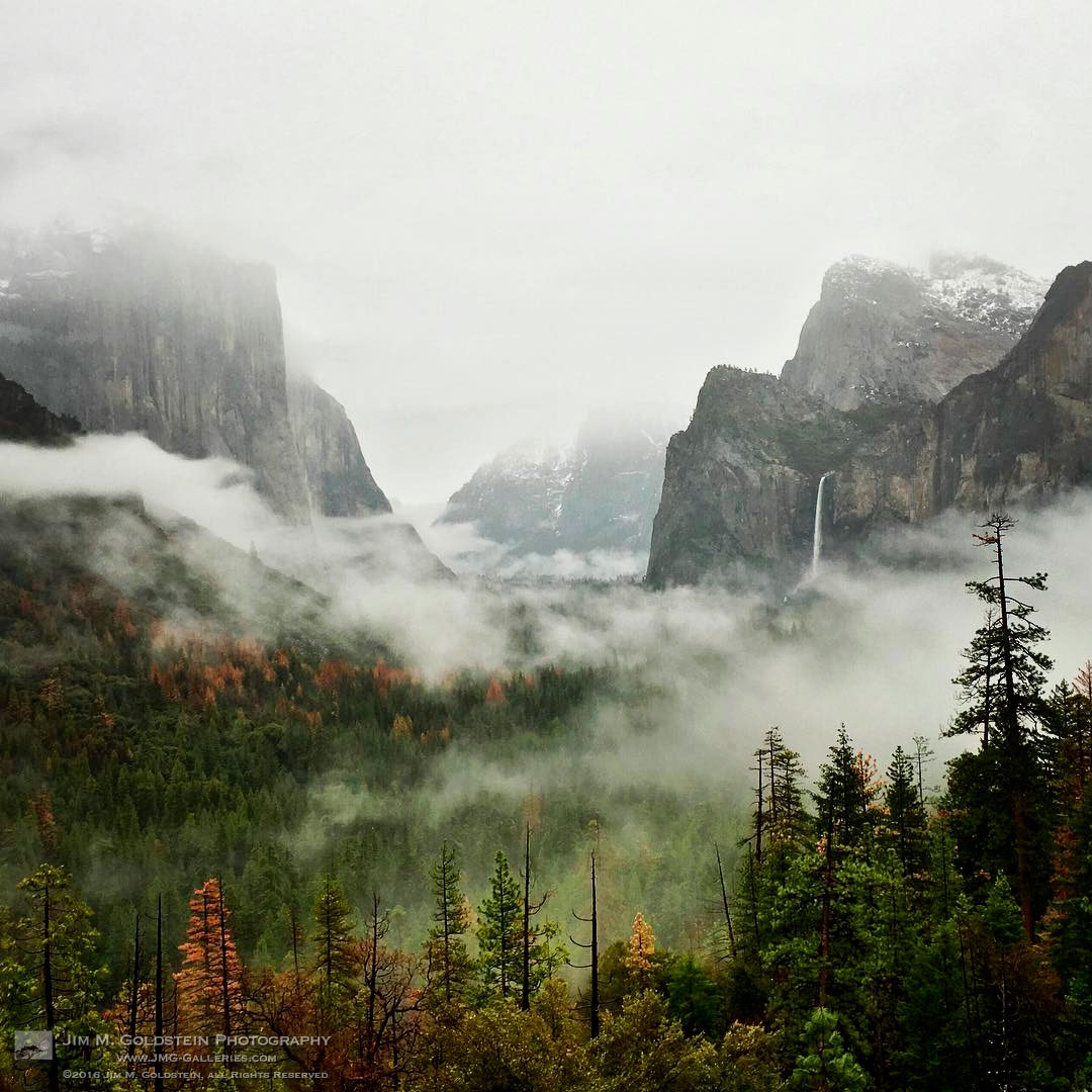 Yosemite Valley Fog & Rain