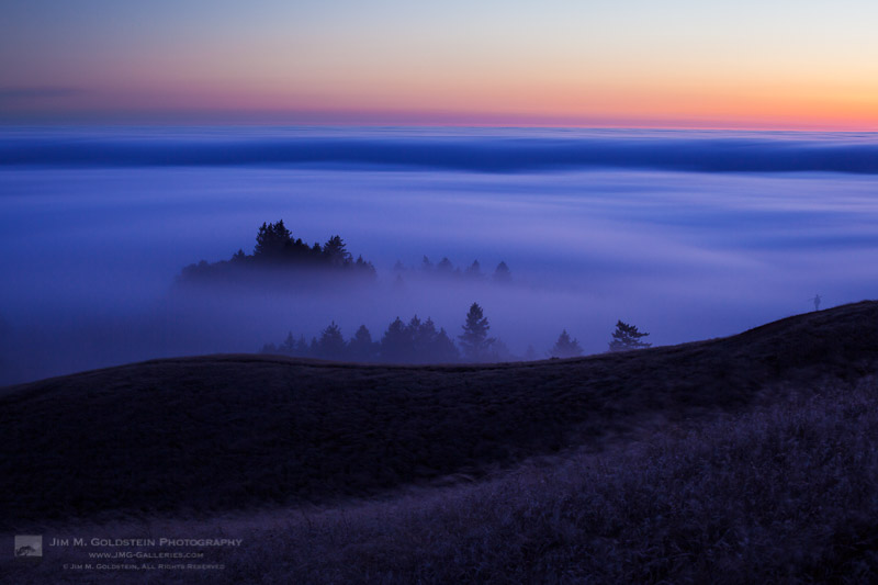 Fog flows through the trees below Mount Tamalpais and over the Pacific Ocean