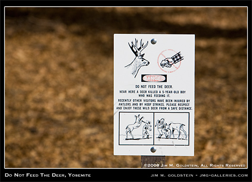 Do Not Feed The Deer, Yosemite photo by Jim M. Goldstein