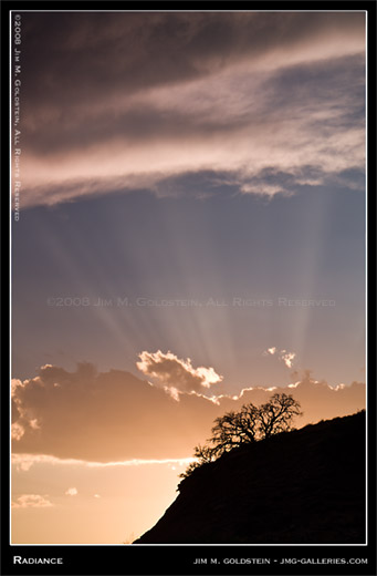 Radiance landscape photo by Jim M. Goldstein