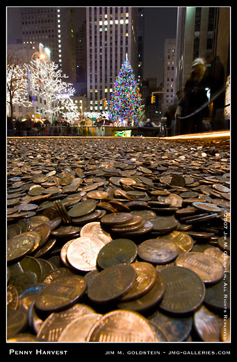 Common Cents Penny Harvest Field and Rockefeller Christmas Tree in New York City photo by Jim M. Goldstein
