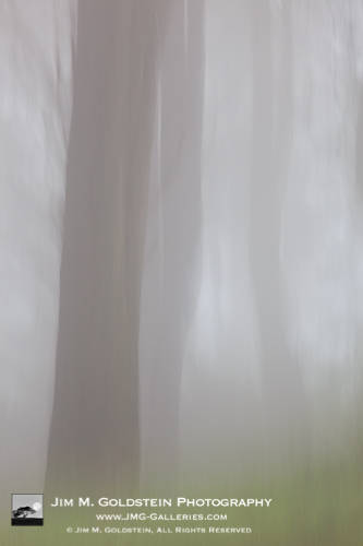 Foggy Forest - Fine Art Photography by Jim M. Goldstein