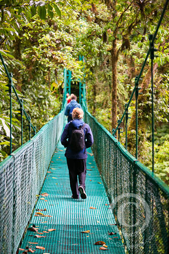 A Tourist Walking the Selvatura Park Canopy Tour & Walkway Bridges