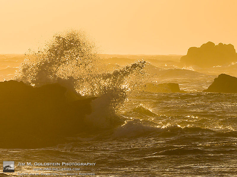 Fury - Asilomar State Beach, California - Detail