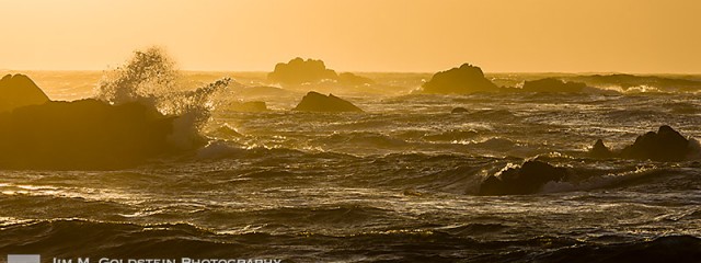 Fury - Point Lobos State Natural Reserve, California