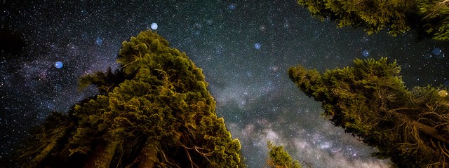 All That Glitters - Milky Way Above Yosemite Forest