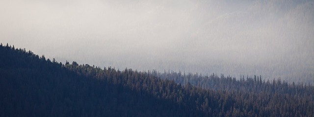 Morning Mist - Glacier National Park