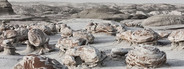 Egg Factory - Bisti Badlands, New Mexico