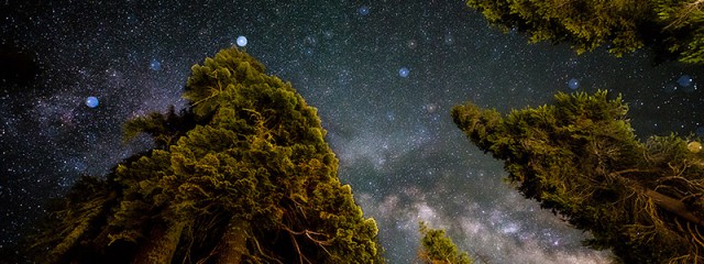 All That Glitters – Milky Way Above Yosemite Forest