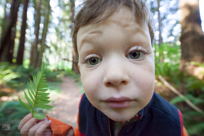 Curious About Nature