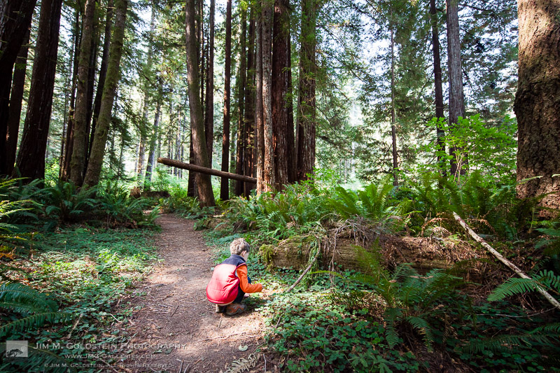 Young Boy Being Naturally Curious in Nature