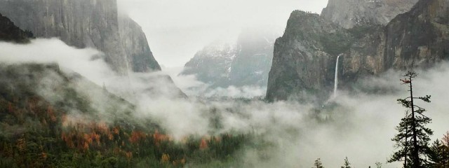 Yosemite Valley Fog & Rain