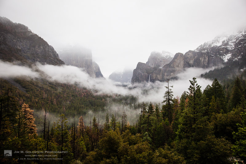 Fog Rises Above Yosemite Valley