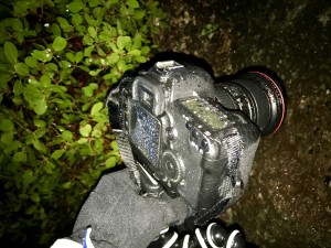 Canon 5D Mark II + Canon 16-35mm Mark II drenched from the heavy mist off the falls.