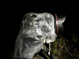 Canon 5D Mark IV + Canon 11-24 drenched from the heavy mist off the falls.