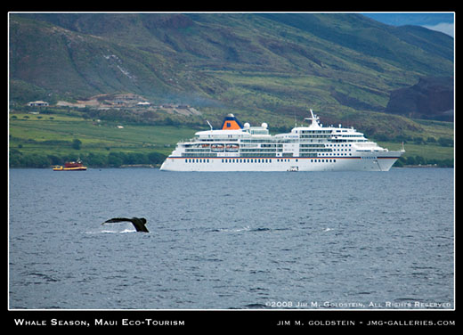 Whale Season, Maui Ecotourism travel photo by Jim M. Goldstein