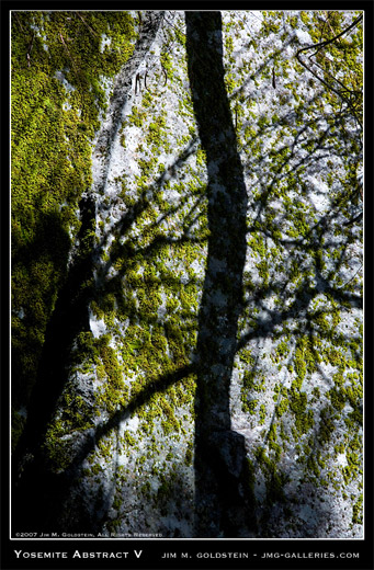 Yosemite Abstract nature photo by Jim M. Goldstein