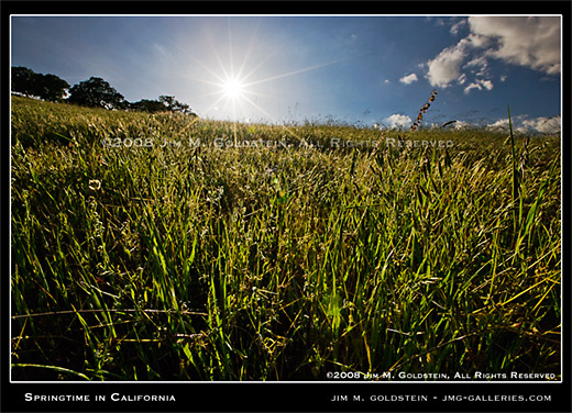 Springtime in California landscape photo by Jim M. Goldstein