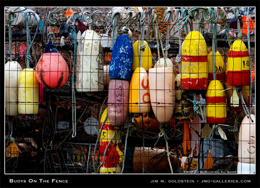 Buoys on the Fence photograph by Jim M. Goldstein