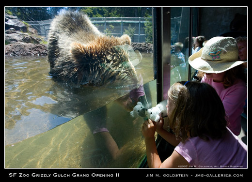 Grizzly Gulch Grand Opening with Kachina and Kiona the grizzly bears