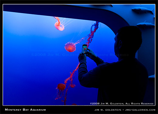 Monterey Bay Aquarium visitor taking photo with iphone photo by Jim M. Goldstein