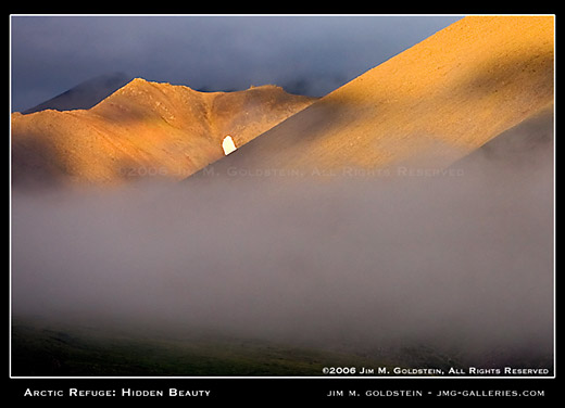 Arctic Refuge: Hidden Beauty landscape photo by Jim M. Goldstein