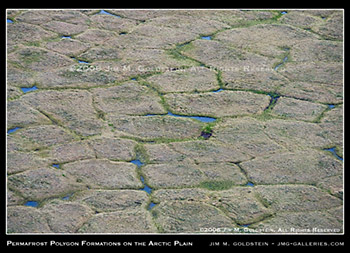 Arctic Refuge: Permafrost Polygon Formations on the Arctic Coastal Plain