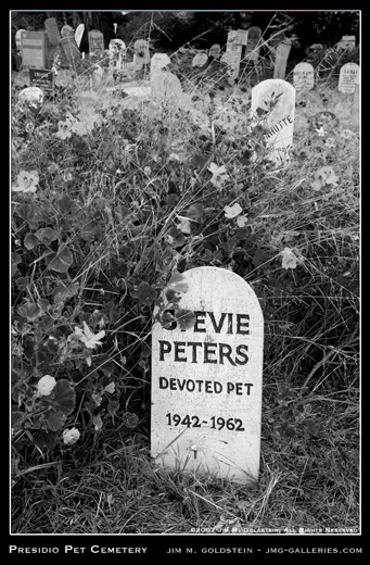 Presidio Pet Cemetery: Devoted Pet photograph by Jim M. Goldstein