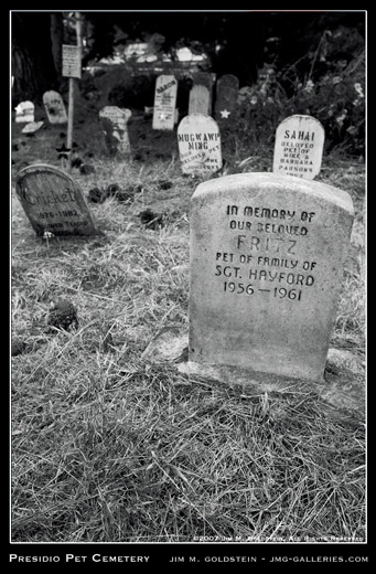 Presidio Pet Cemetery: Fritz photograph by Jim M. Goldstein