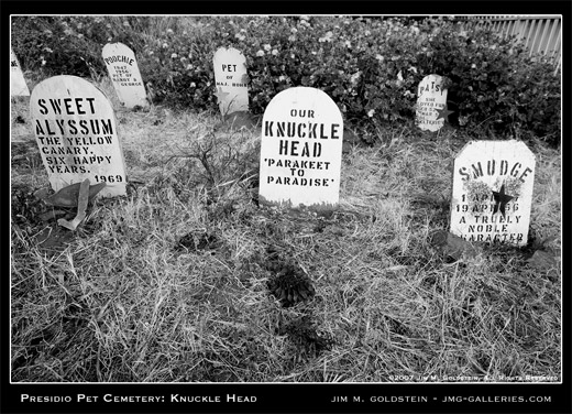 Presidio Pet Cemetery: Knuckle Head photograph by Jim M. Goldstein