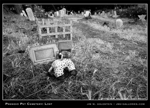 Presidio Pet Cemetery: Lost photograph by Jim M. Goldstein