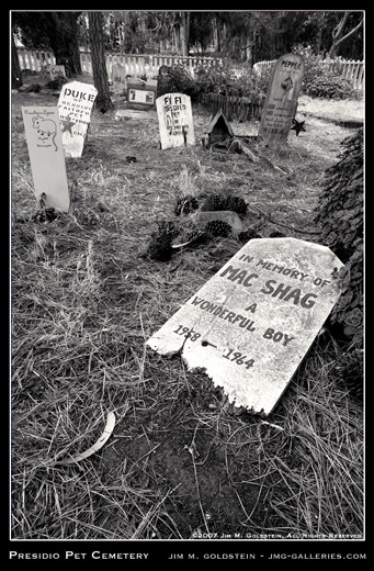 Presidio Pet Cemetery: Mac Shag photograph by Jim M. Goldstein