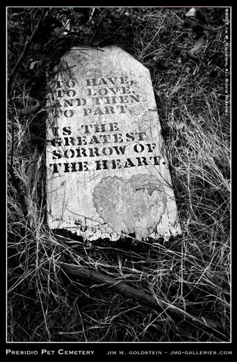 Presidio Pet Cemetery: To Love photograph by Jim M. Goldstein