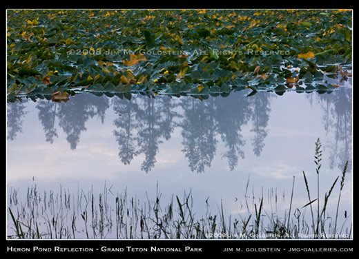 Heron Pond Reflection, Grand Teton National Park photo by Jim M. Goldstein