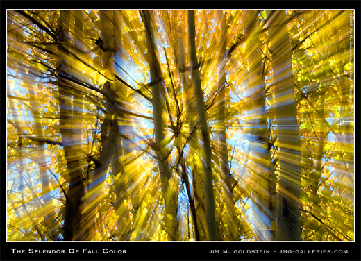 Splendor of Fall Color landscape photo by Jim M. Goldstein