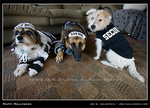 Happy Halloween - Dog Photo by Jim M. Goldstein