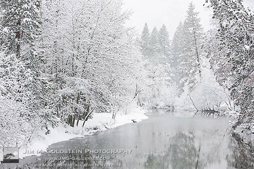 Snow Covered Trees Along the Merced River - Yosemite National Park, California