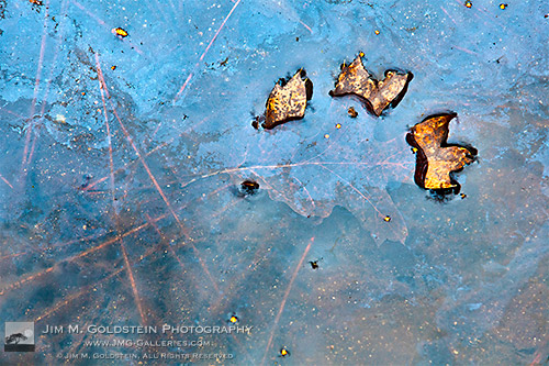 The Fallen, Yosemite National Park