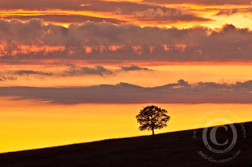 Illumination - photo by Jim M. Goldstein