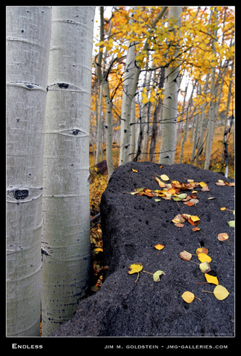 Endless landscape photo by Jim M. Goldstein