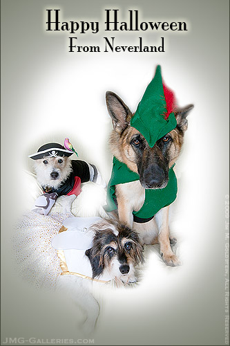 Happy Halloween from the Photo Assistants III