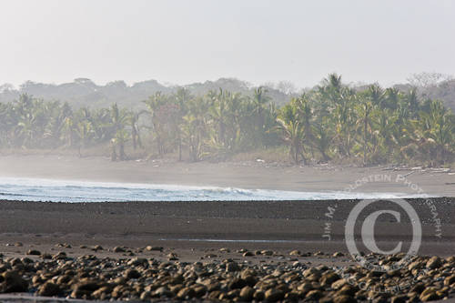 Rainforest Lined Beach - Corcovado National Park, Costa Rica