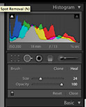 Lightroom 2 - Spot Removal Brush