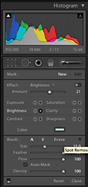 Lightroom 2 - Adjustment Brushes Mask