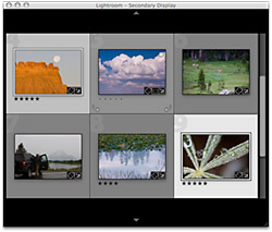 Lightroom 2 - Multiple Displays Grid View