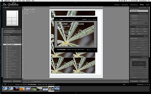 Lightroom 2 - Multiple Displays Loupe View