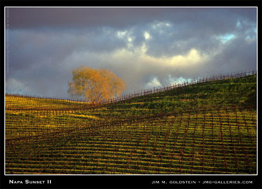 Napa Sunset II landscape photograph by Jim M. Goldstein