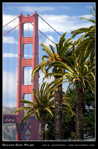 Golden Gate Palms photographed by Jim M. Goldstein